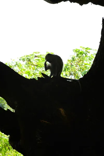 DSC_7879 (Large).JPG